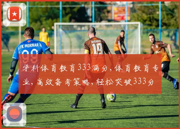 学科体育教育333满分,体育教育专业,高效备考策略,轻松突破333分