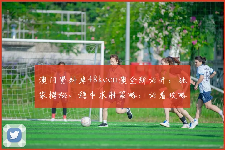 澳门资料库48kccm澳全新必开，独家揭秘，稳中求胜策略，必看攻略